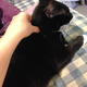 Illustration for article titled BREAKING NEWS: Bobby likes her shoulders scratched!